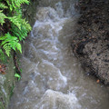 872-2.jpg