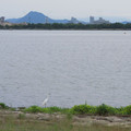 873-1.jpg