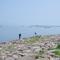 874-1.jpg