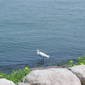 874-3.jpg