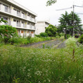 876-2.jpg