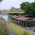 877-2.jpg