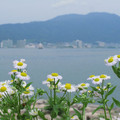 878-2.jpg