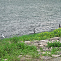 879-2.jpg
