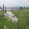 881-3.jpg