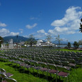 923-3.jpg