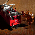 925-1.jpg