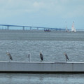 926-1.jpg