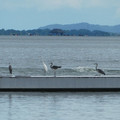 926-3.jpg