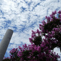 928-2.jpg