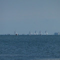 932-1.jpg