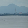 940-1.jpg