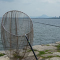 942-1.jpg