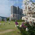 942-2.jpg