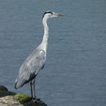 943-2.jpg