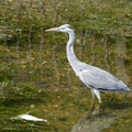 943-3.jpg