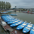1000-3.jpg