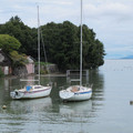 1001-1.jpg