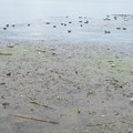 1001-2.jpg