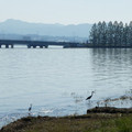 1002-1.jpg