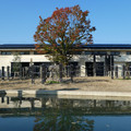 1003-3.jpg