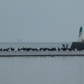 1004-1.jpg