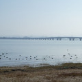 1004-2.jpg