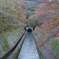 1005-1.jpg