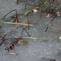 1005-3.jpg