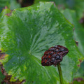 978-3.jpg