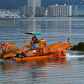979-3.jpg