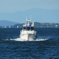 980-1.jpg