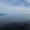 981-1.jpg