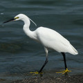 985-3.jpg