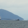 988-2.jpg