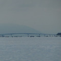 990-3.jpg