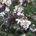 992-3.jpg