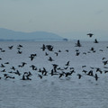 993-3.jpg