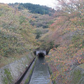 996-1.jpg