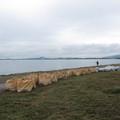 996-2.jpg