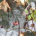 997-3.jpg