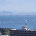 1039-1.jpg