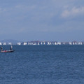 1039-2.jpg