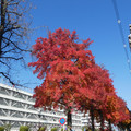 1040-2.jpg
