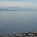 1041-1.jpg