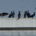 1041-2.jpg