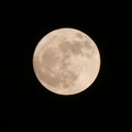 1041-3.jpg