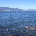 1042-2.jpg