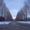 1043-1.jpg