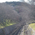 1043-2.jpg